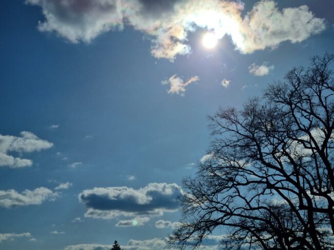 20230409_171533.jpg