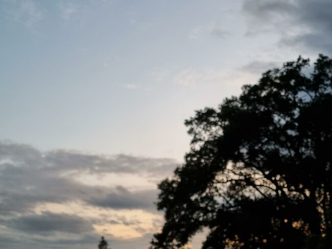 20230809_210641.jpg