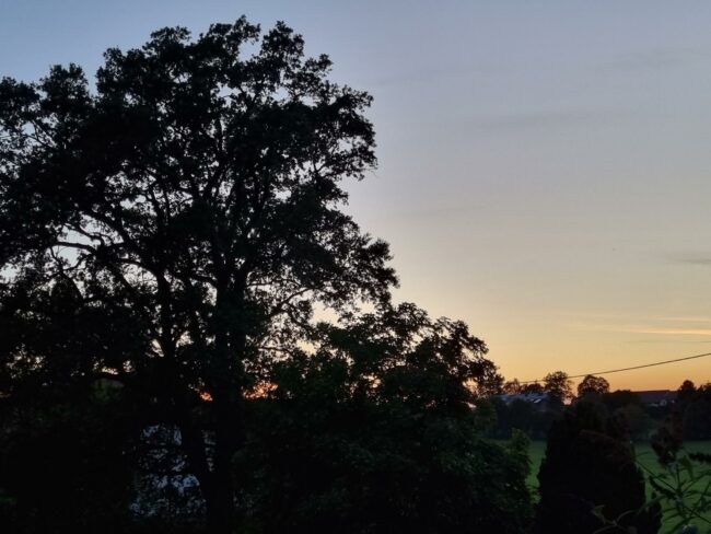 20230811_205438.jpg